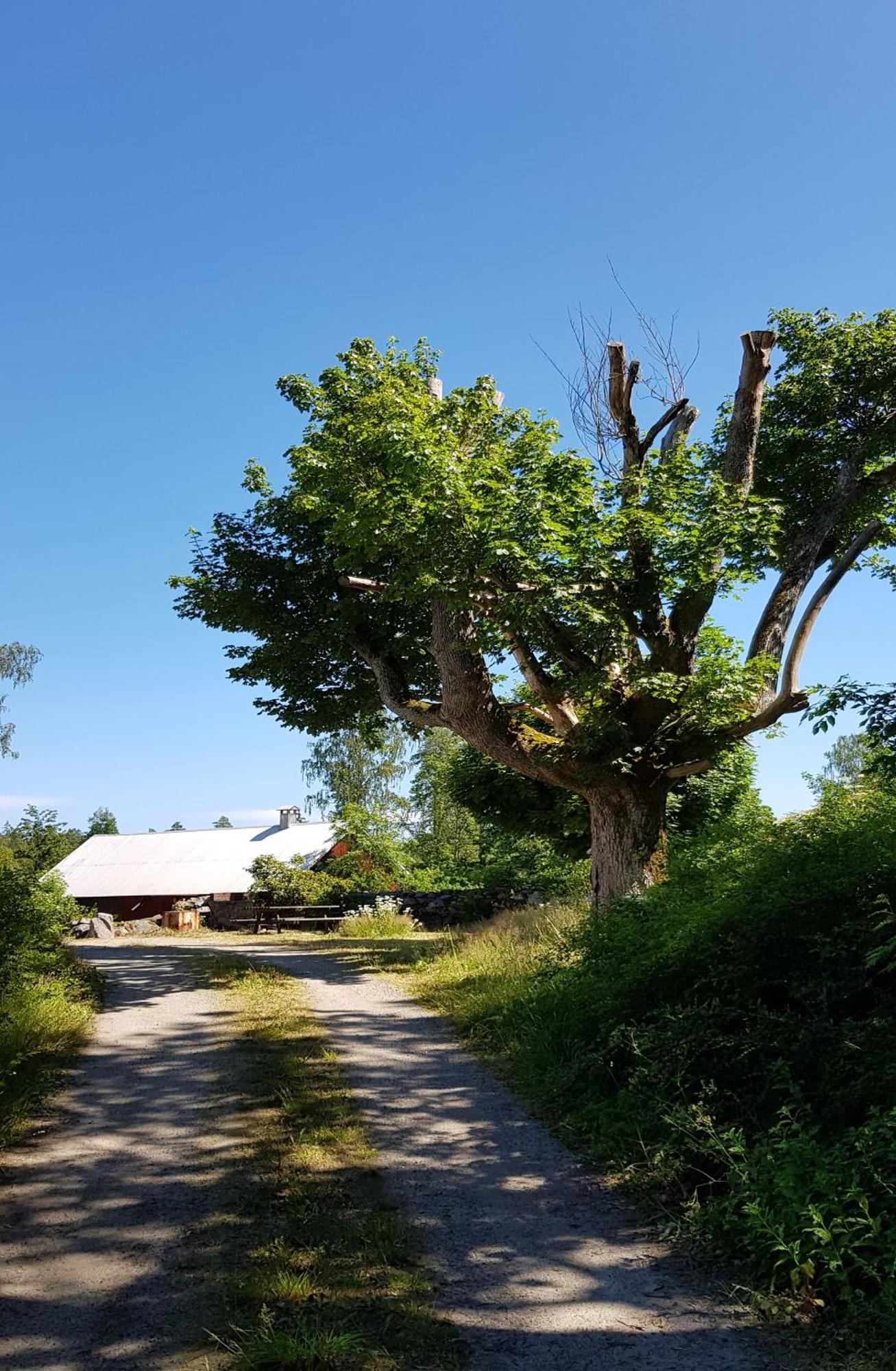 Stroenhult Farmhouse By The Lake Stronhult Kültér fotó